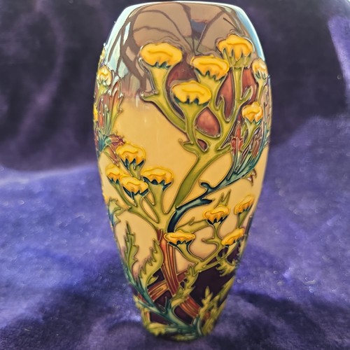 Moorcroft pottery vase 101 - pottery,