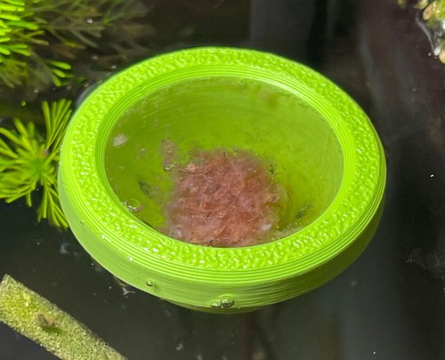 Floating frozen food - food, feeding