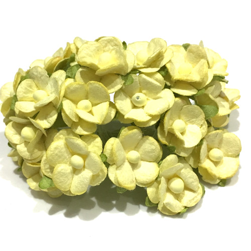 Cream mulberry paper - cream,