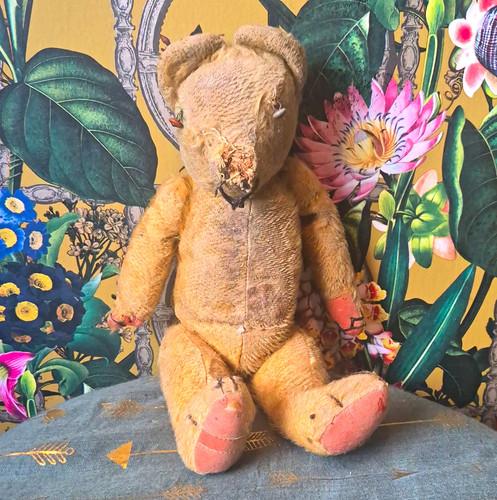 Vintage plush teddy - vintage, bear