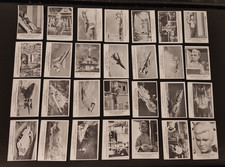 Somportex Thunderbirds large