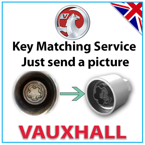 For vauxhall security master - vauxhall,