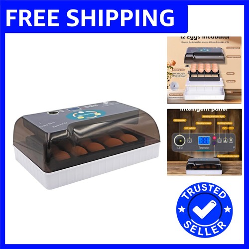 Luxury automatic egg - automatic, incubator