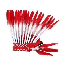 Native Inspired Headdress