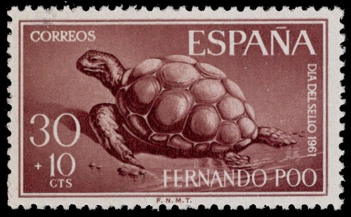 Fernando b12 aldabra - po,