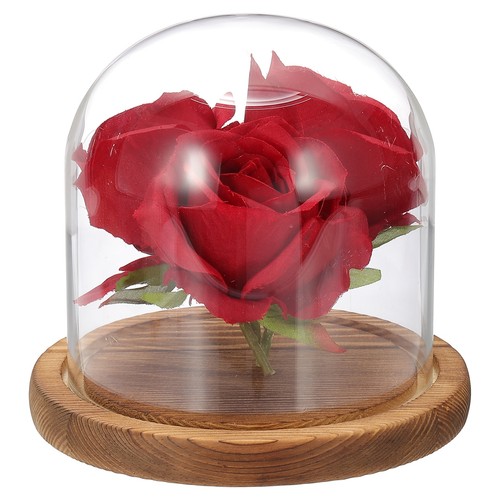 Glass cloche display dome - cloche,