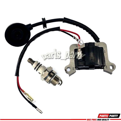 Ignition coil fit for - for, stroke