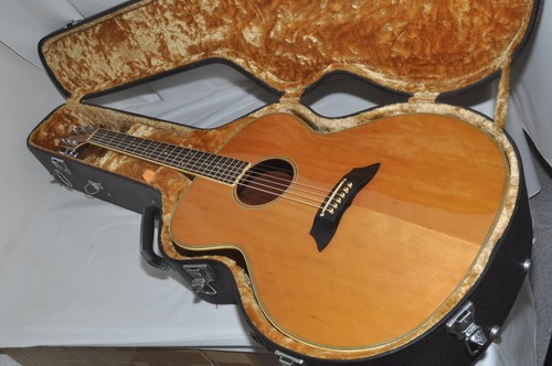 Takamine 007n acoustic - pt-007n,