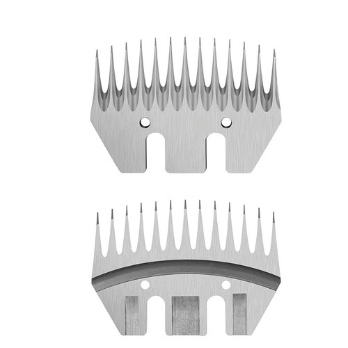 Teeth 4 - +,