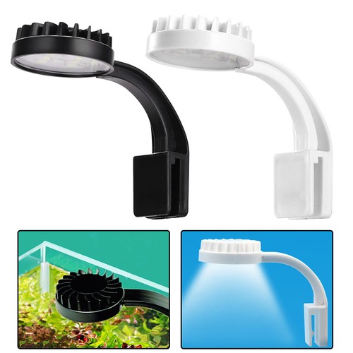 Small fish tank - light, aquarium