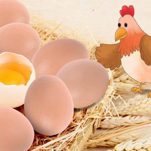Plastic fake dummy - egg, hen