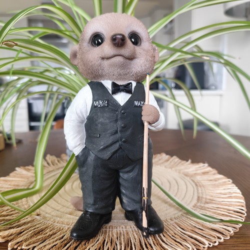 Vivid arts baby - vivid, meerkat