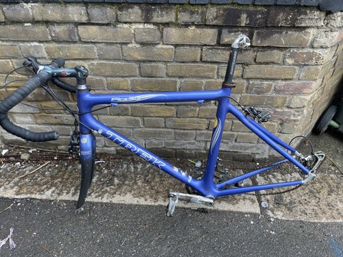 2006 trek pilot - 5, carbon