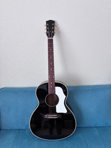 Type acoustic guitar - acoustic,