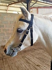 Half crown BRIDLE Shetland, Small Pony, Pony, Cob, F/S. Synthetic web washable