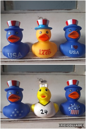 Mixed rubber ducks - 6,