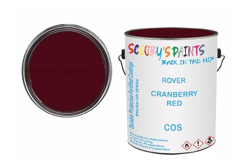 Classic paint for - classic,