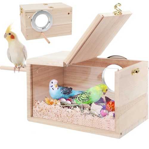Ranypet budgie nesting - ranypet,
