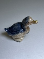 Wade Whilst Dusk Bird Animal