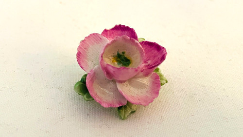 Vintage staffordshire bone - staffordshire,
