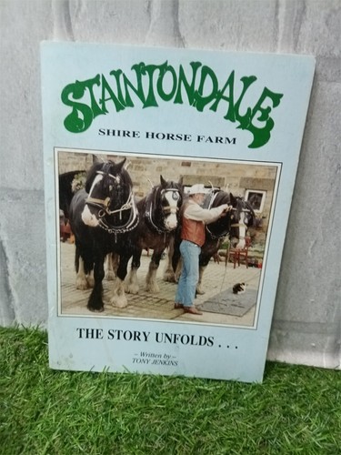 Staintondale shire horse farm - horse,