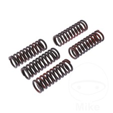 TRW Clutch Spring Kit