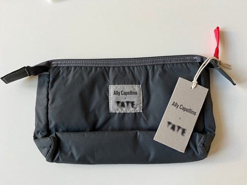 Ally capellino tate travel - capellino,