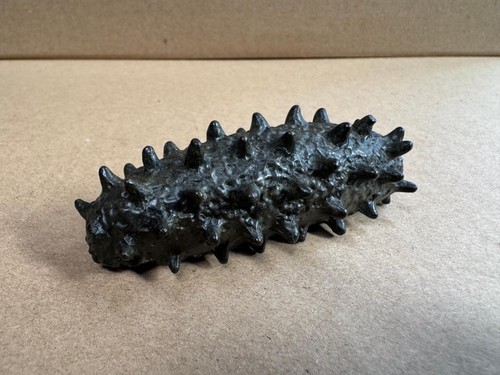 Japanese bronze sea - bronze,