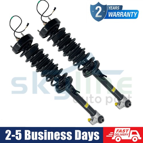 Pair rear shock strut - pair,