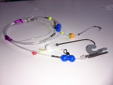 5 x  Loop Rigs (Portsmouth