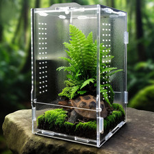 Jumping spider enclosure - spider,