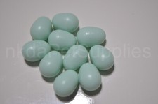 Dummy EGGS For canaries x10 CAGE & AVIARY BIRDS
