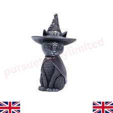 Witches Hat Occult Cat