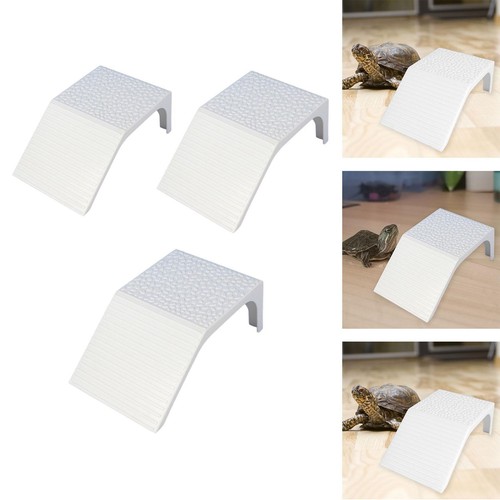 Turtle basking platform - turtle,