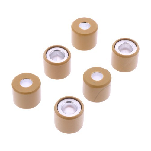 Original roller weight kit - weight,