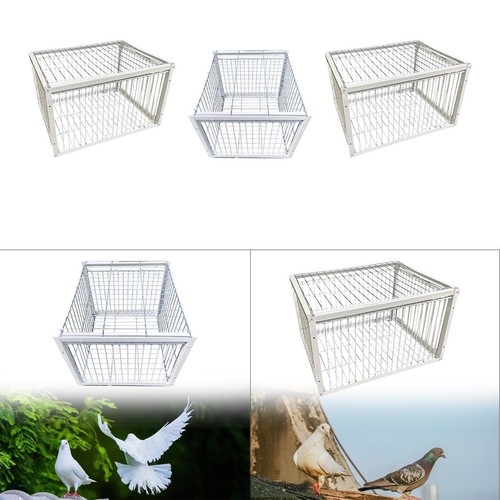 Pigeon trap portable - pigeon, single