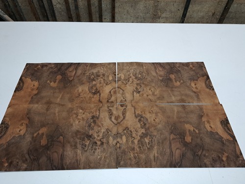 Burr walnut veneer - burr,