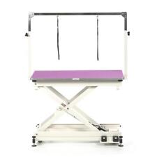 Pedigroom professional electric dog pet grooming table with H frame bar purple