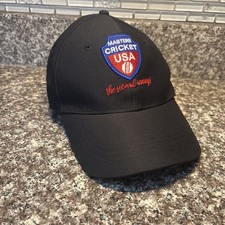 Masters Cricket USA The Second