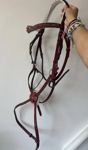 Red grackle bridle full - red,