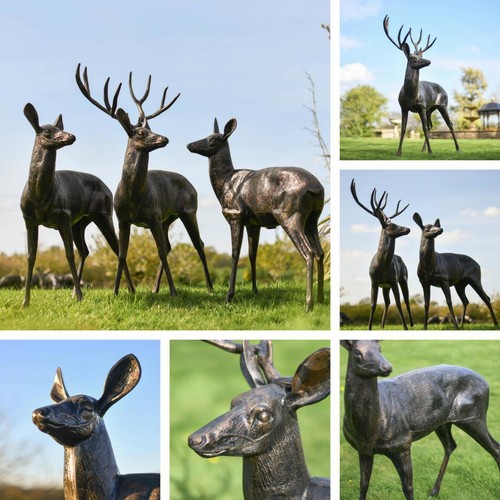 New forest standing stag - standing,