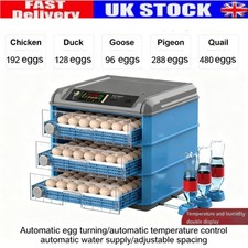 192x Egg Incubator-Automatic