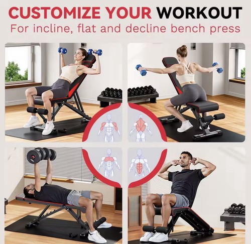 Adjustable bench and squat - adjustable,