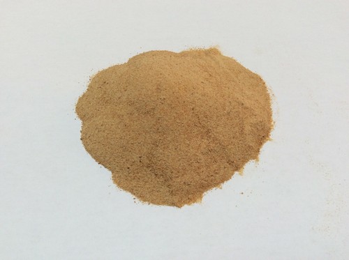 Brewers yeast powder - yeast,