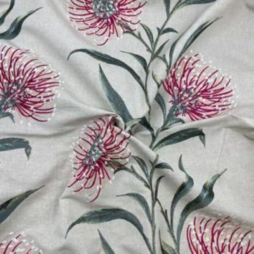 Sanderson catherinae - sanderson,
