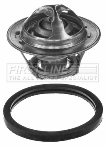 Thermostat kit for ford escort - thermostat,