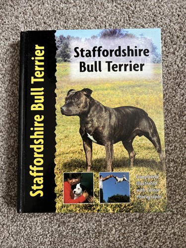 Staffordshire bull terrier - bull,