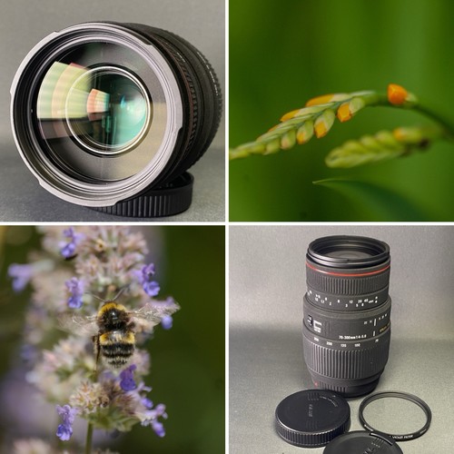 Sigma apo 300mm 5 6 - sigma, 70-300mm