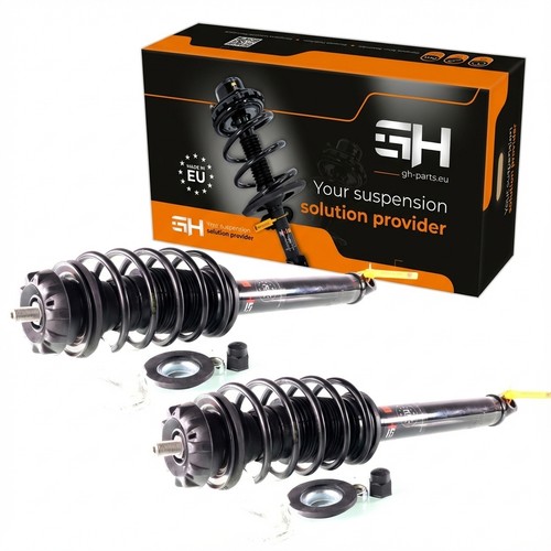 Complete struts assembly - complete,