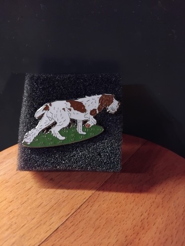 Italian spinone enamel - italian,